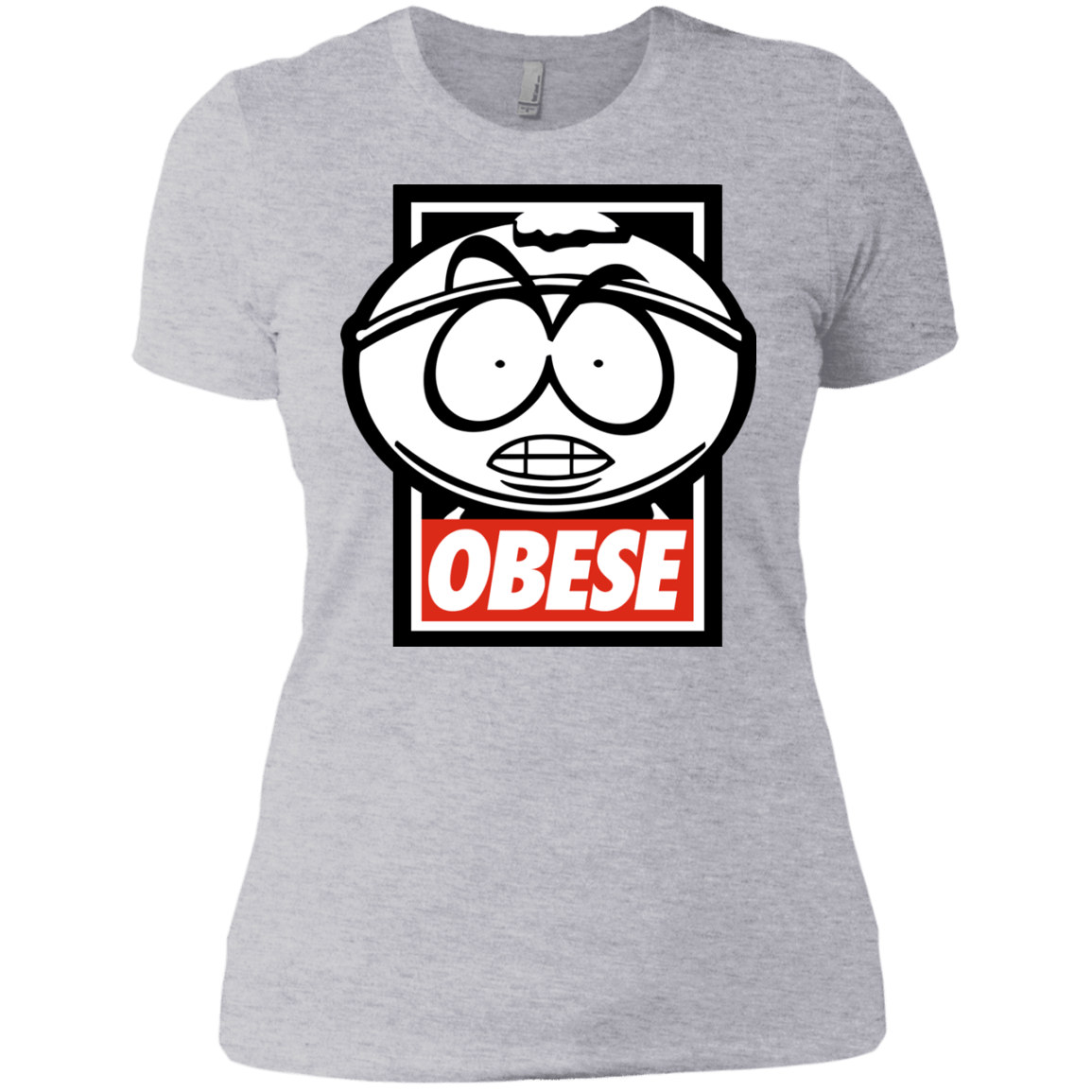 T-Shirts Heather Grey / X-Small Obese Women's Premium T-Shirt