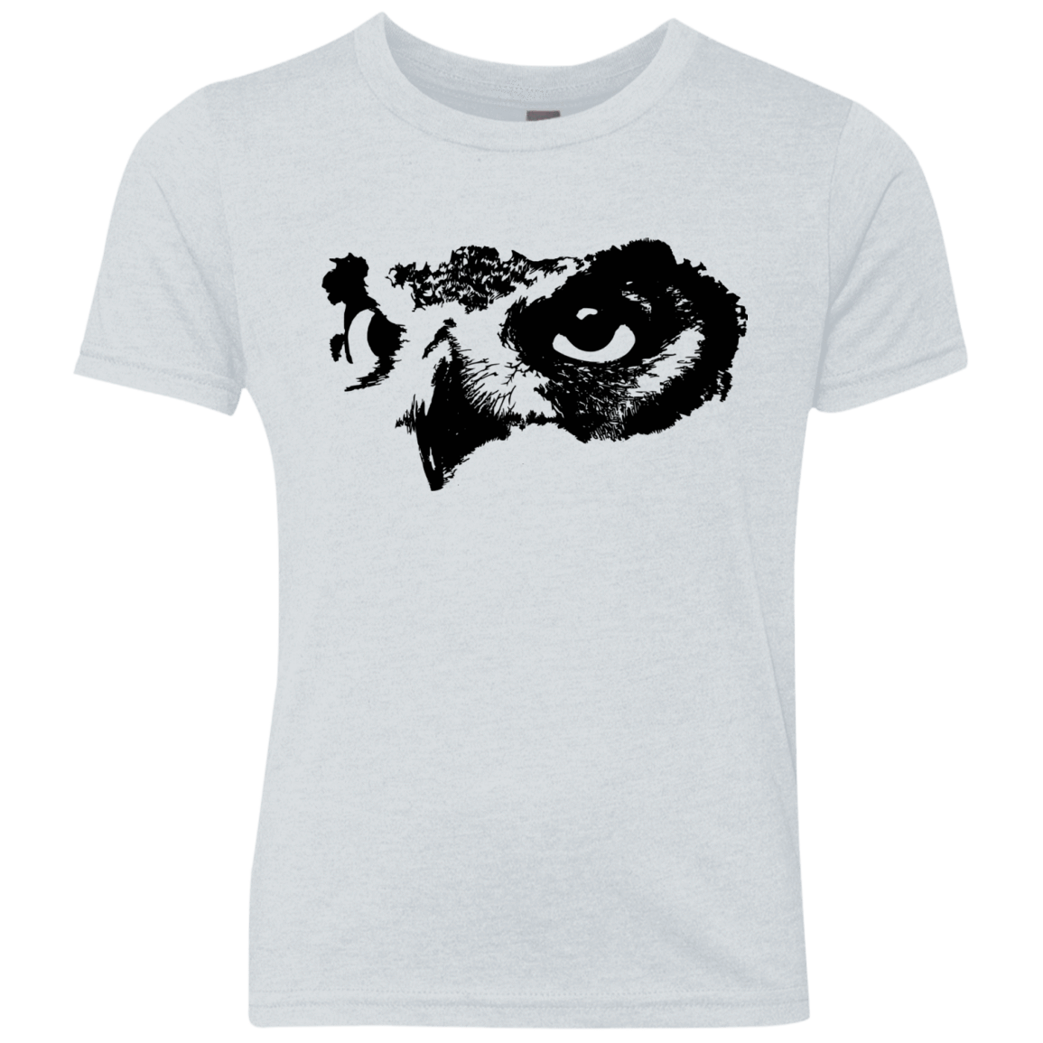 Owl Eyes Youth Triblend T-Shirt
