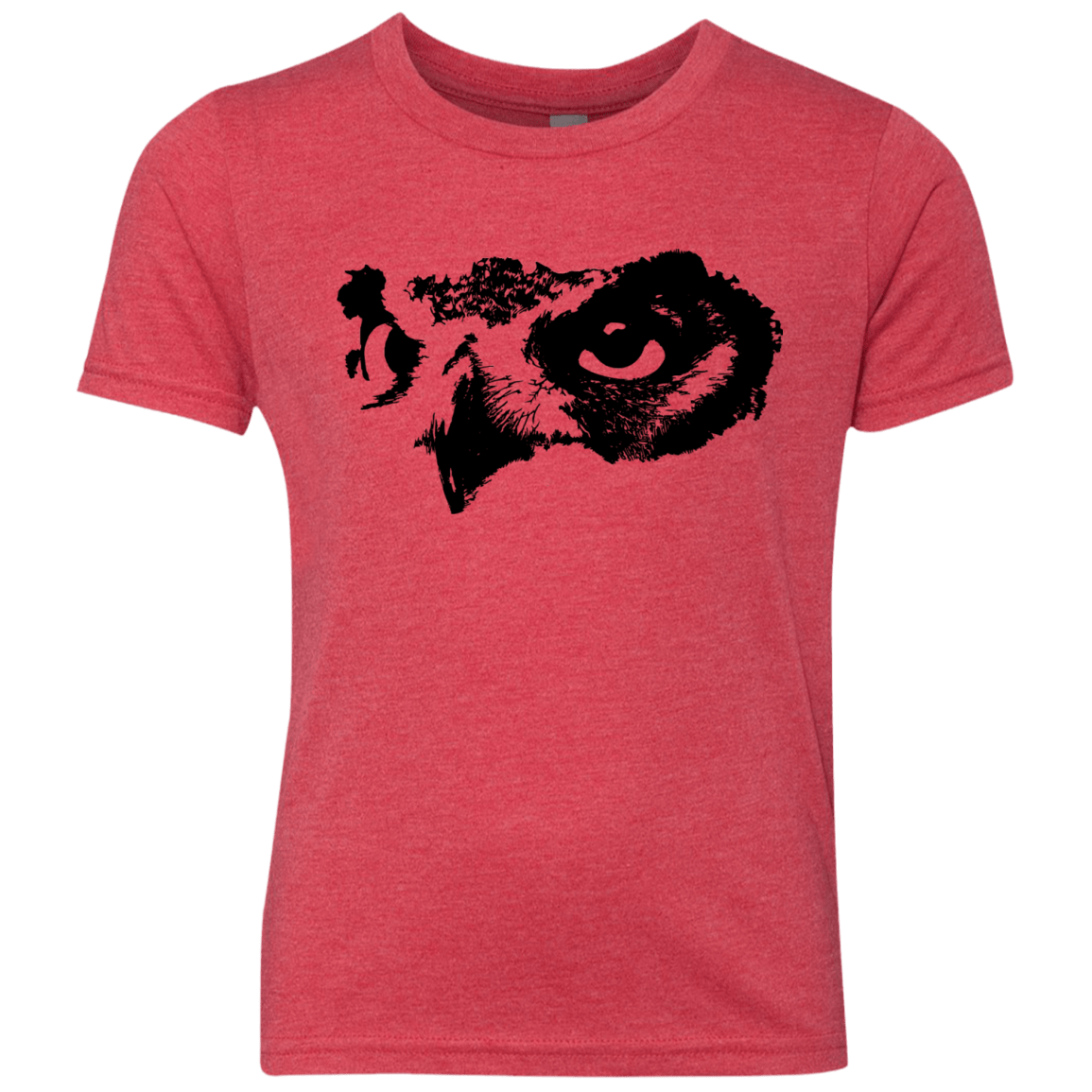 Owl Eyes Youth Triblend T-Shirt