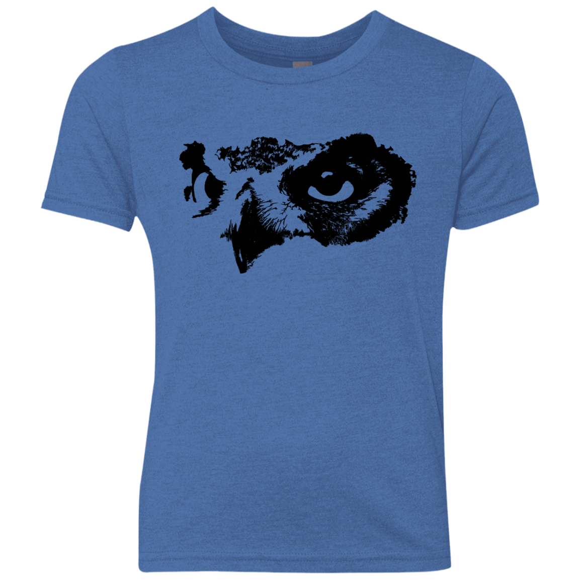 Owl Eyes Youth Triblend T-Shirt