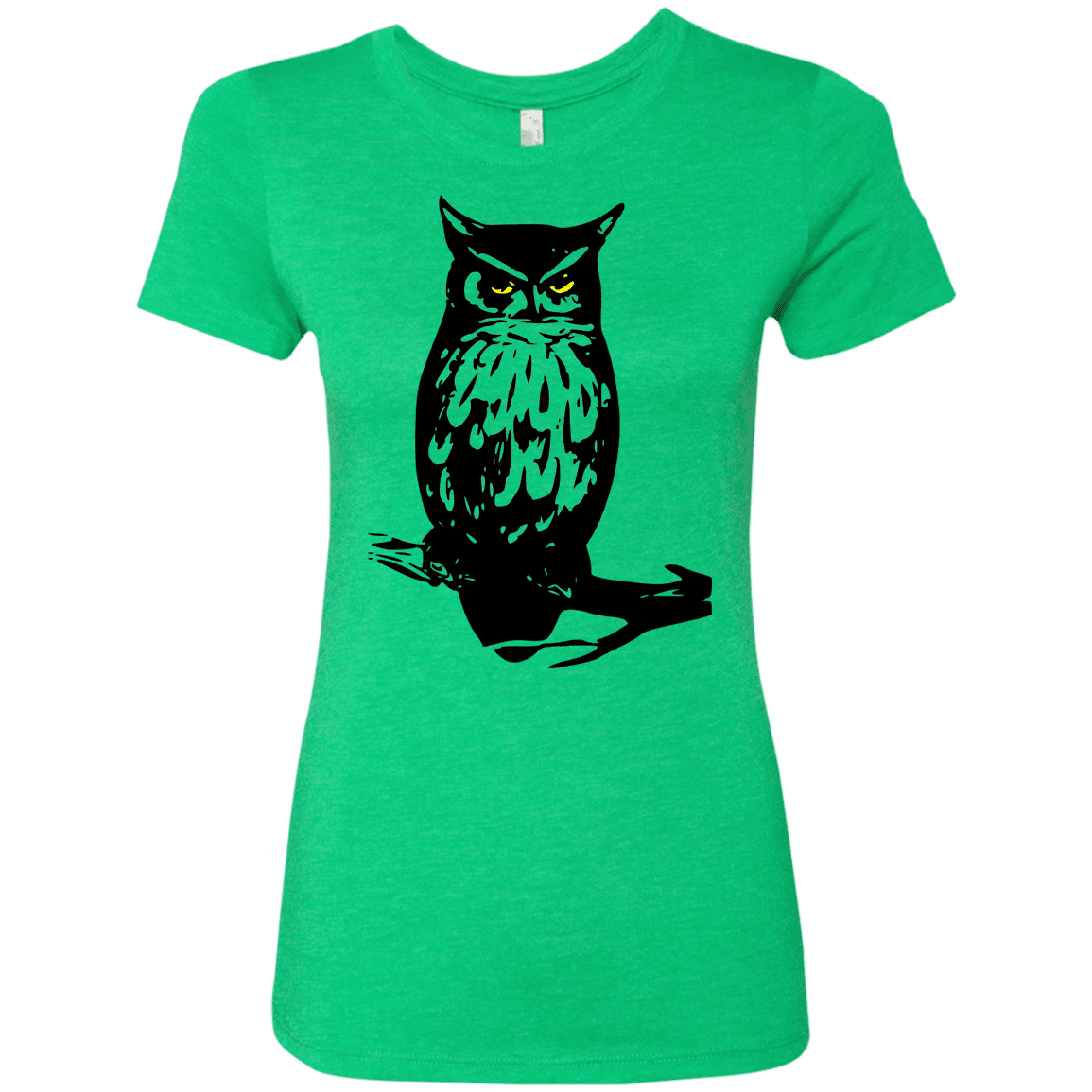 T-Shirts Envy / S Owl Portrait Women's Triblend T-Shirt