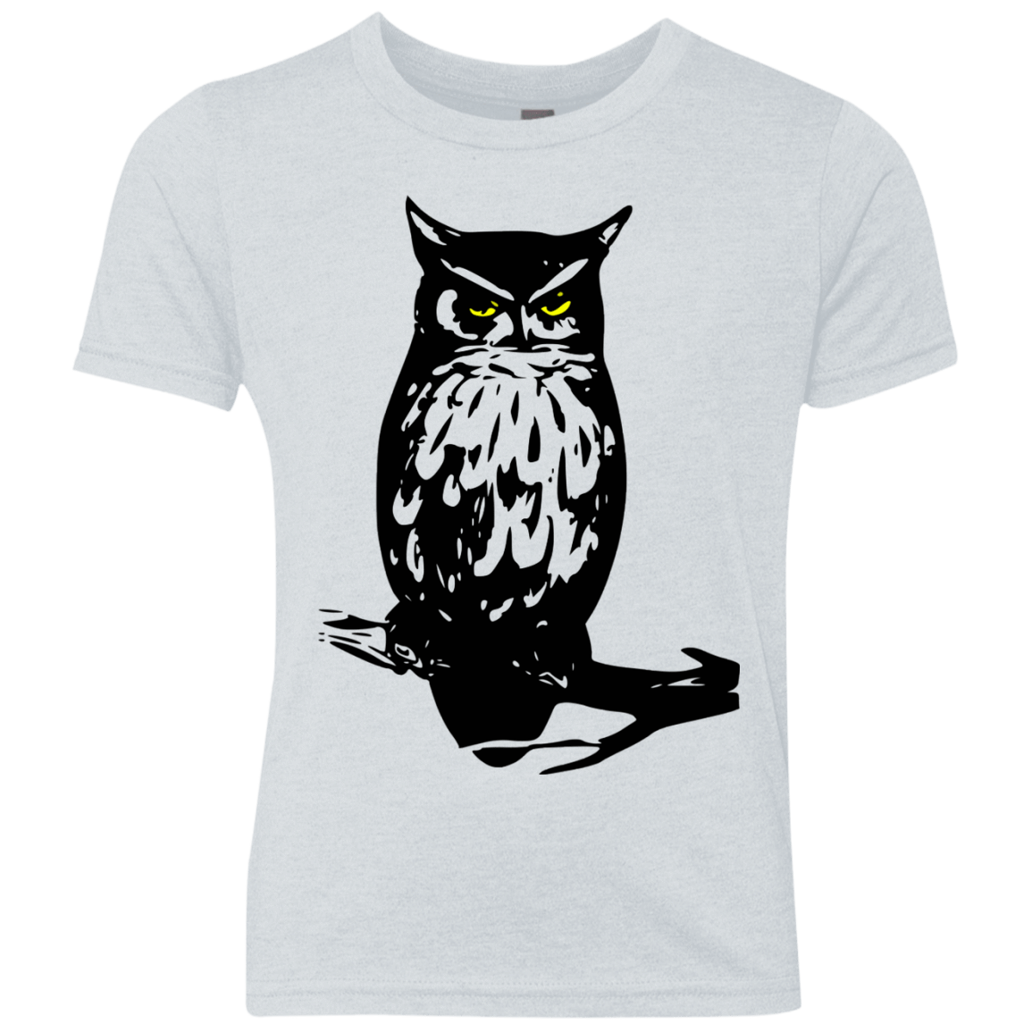 Owl Portrait Youth Triblend T-Shirt