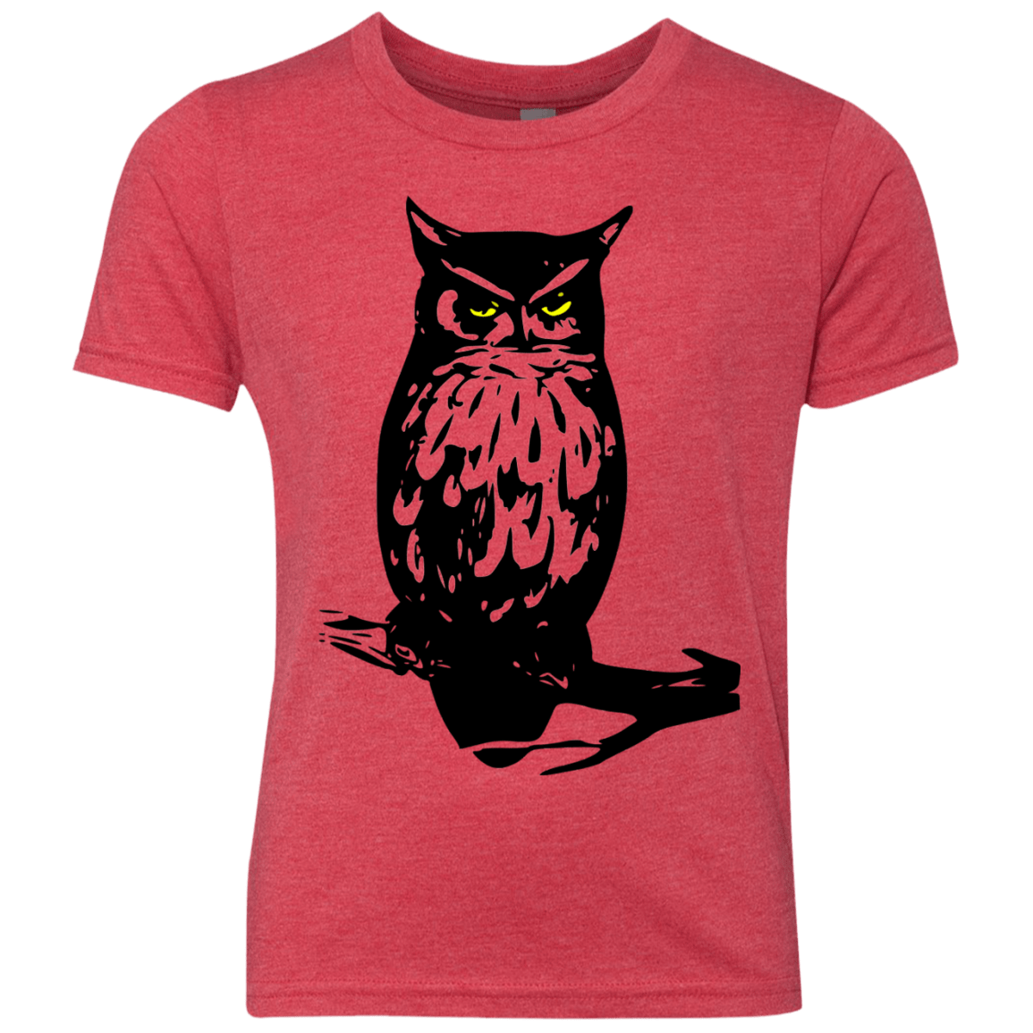 Owl Portrait Youth Triblend T-Shirt