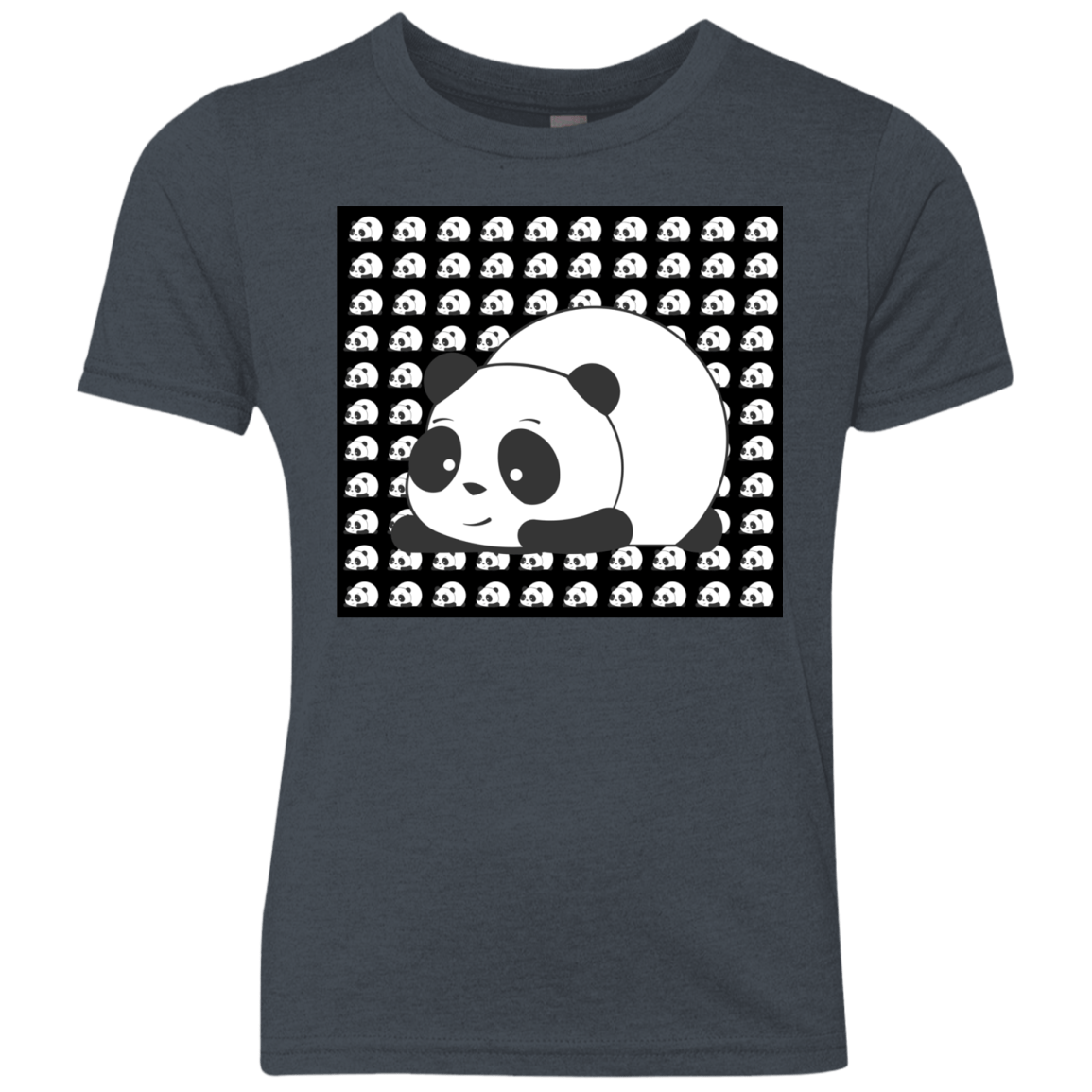 Panda Youth Triblend T-Shirt