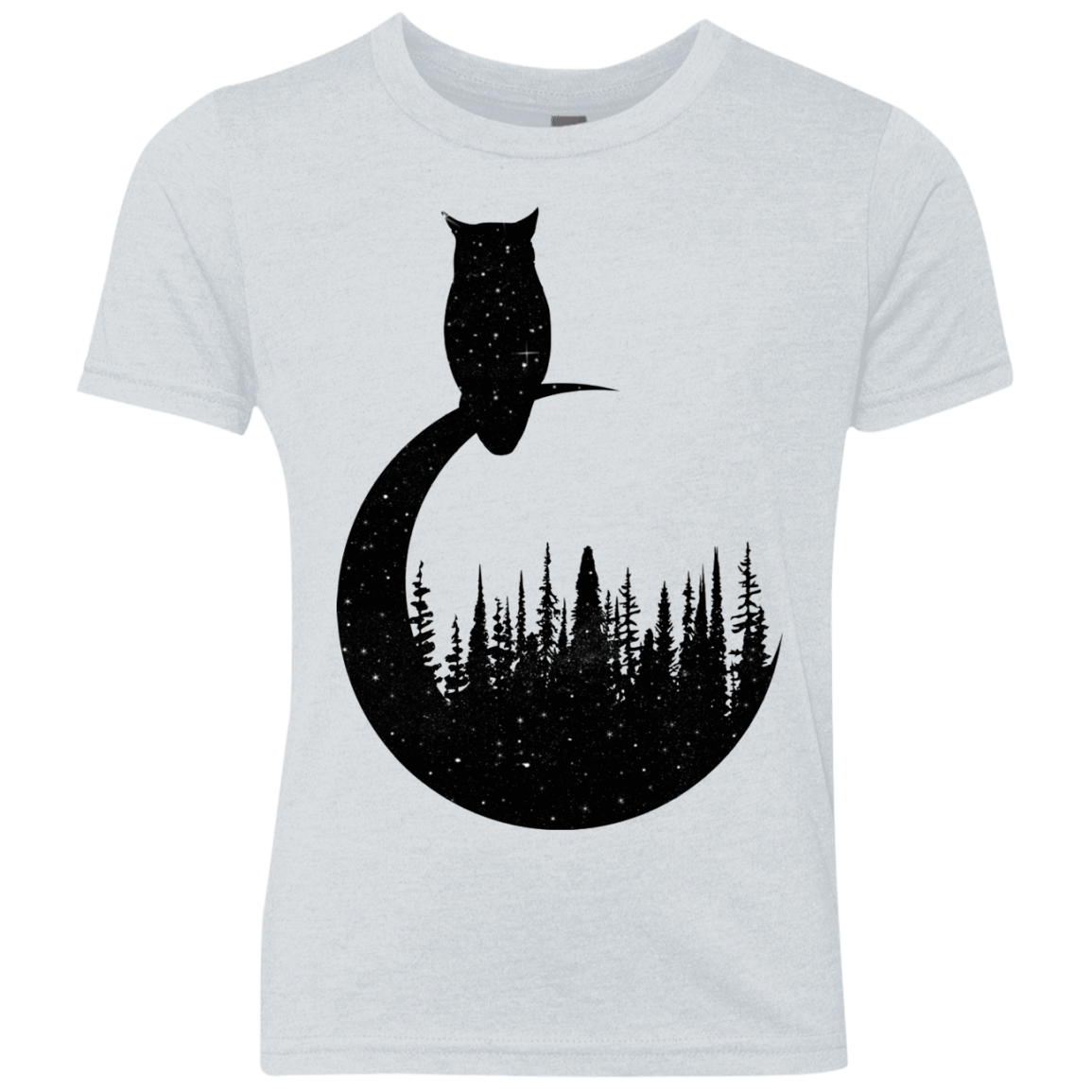 Perched Owl Youth Triblend T-Shirt