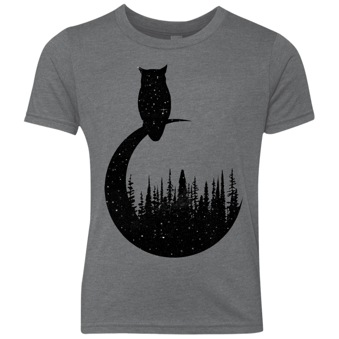 Perched Owl Youth Triblend T-Shirt