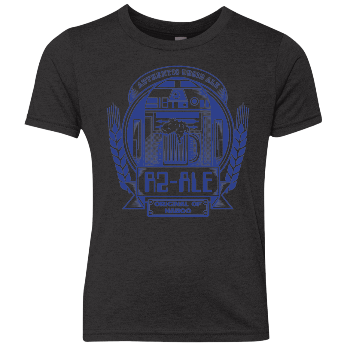 R2 Ale Youth Triblend T-Shirt