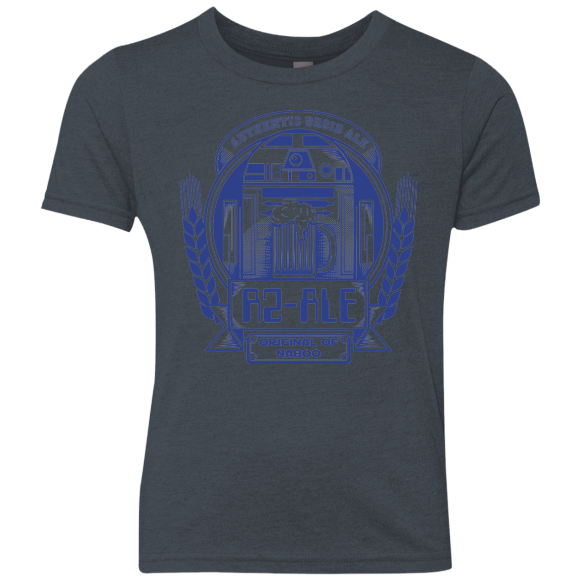 R2 Ale Youth Triblend T-Shirt