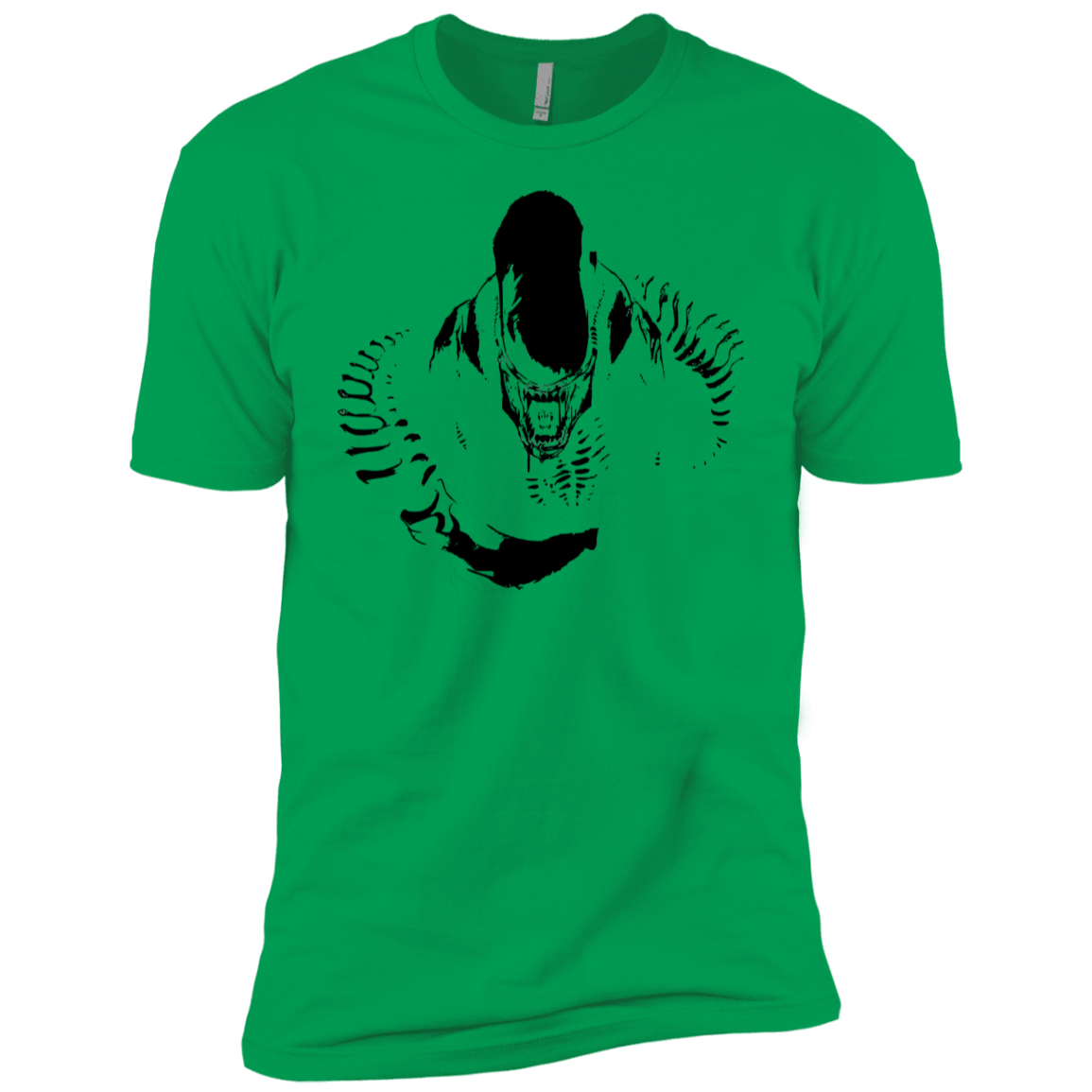 T-Shirts Kelly Green / YXS Run Boys Premium T-Shirt