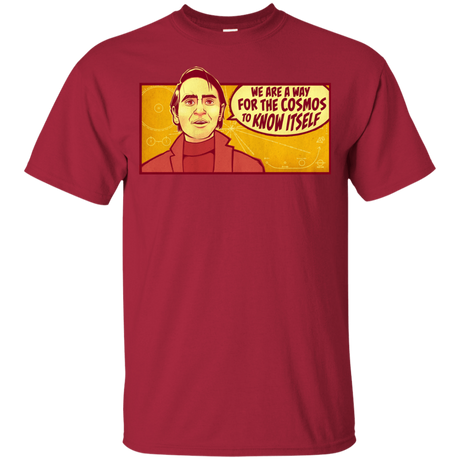 T-Shirts Cardinal / YXS SAGAN Cosmos Youth T-Shirt