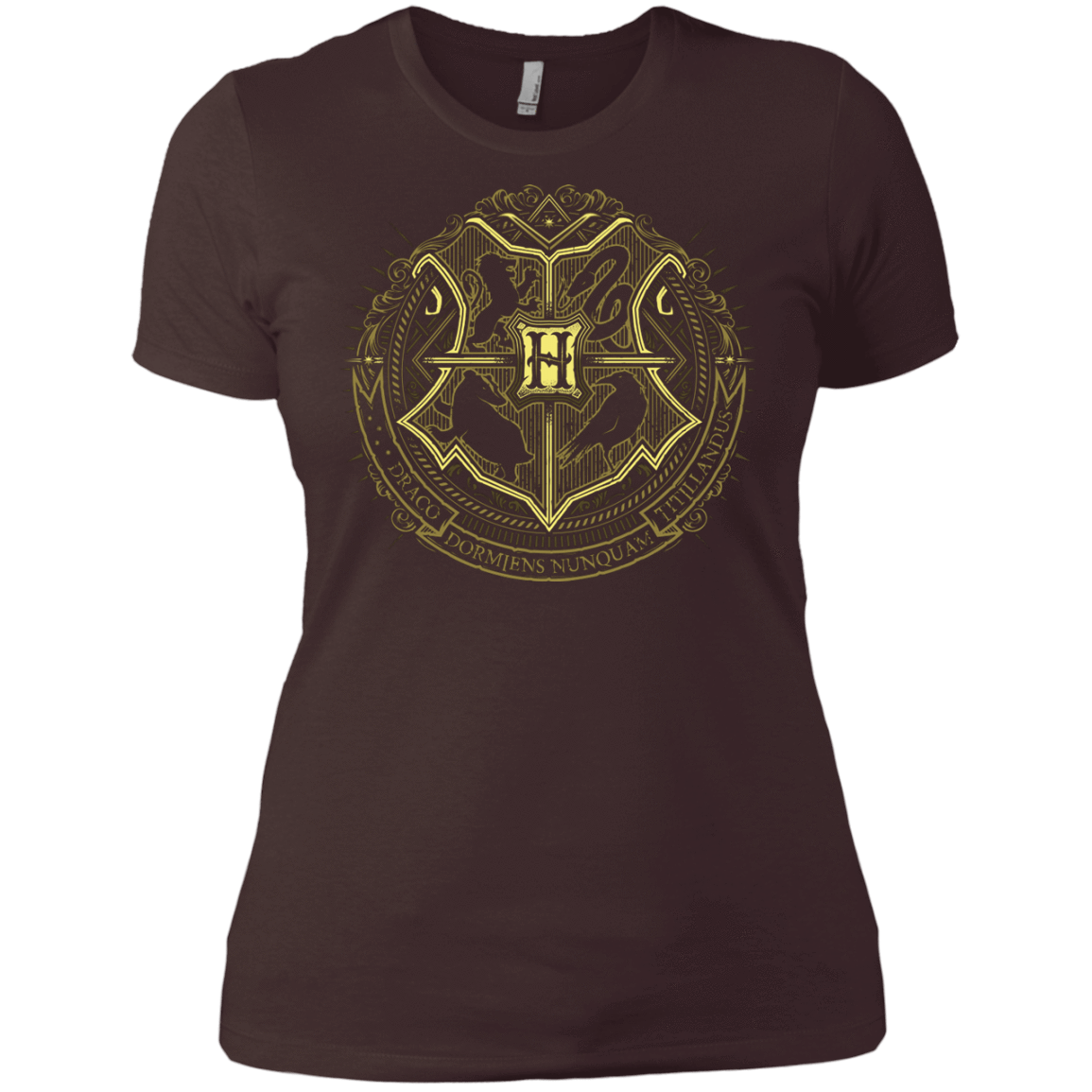 T-Shirts Dark Chocolate / X-Small School of Magic Women's Premium T-Shirt