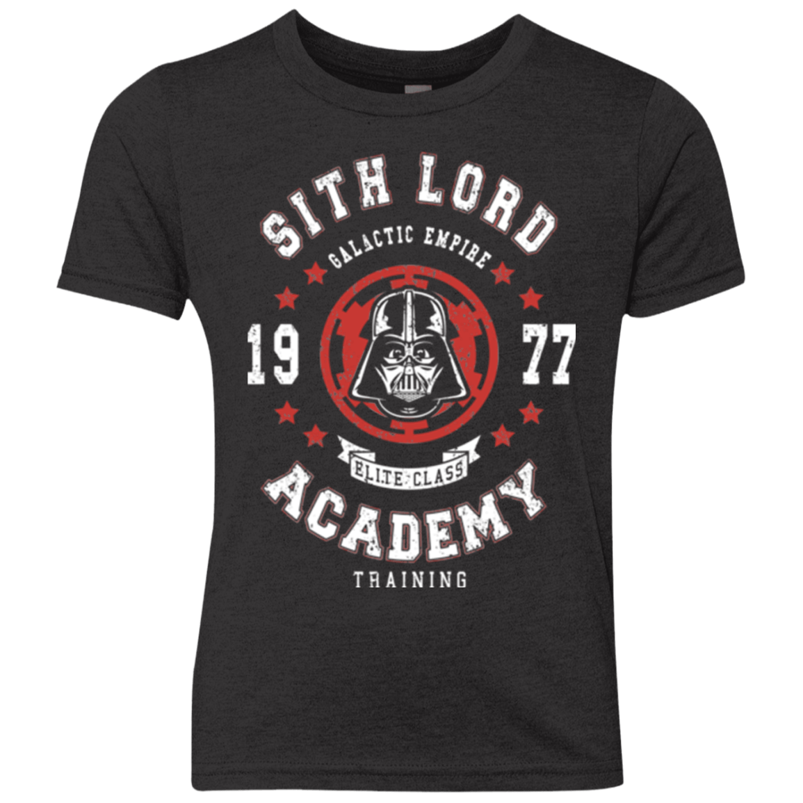 T-Shirts Vintage Black / YXS Sith Lord Academy 77 Youth Triblend T-Shirt
