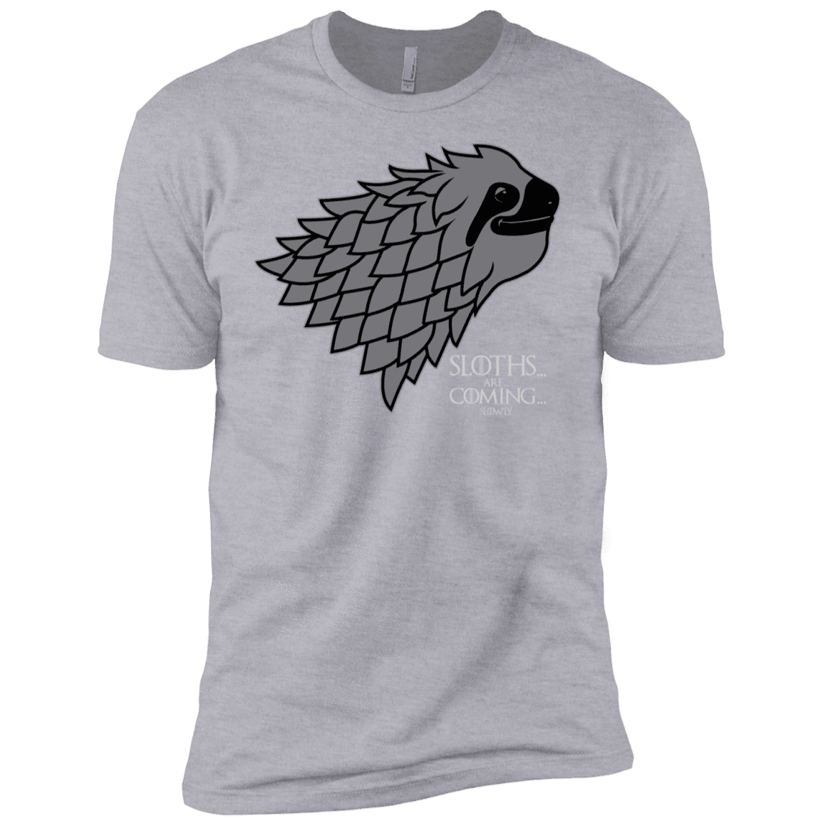 T-Shirts Heather Grey / YXS Sloths.. are.. co.. Boys Premium T-Shirt
