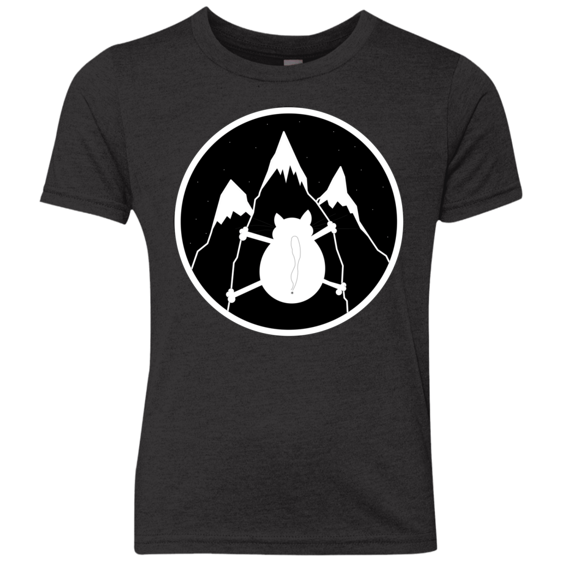 Spider Cat Youth Triblend T-Shirt