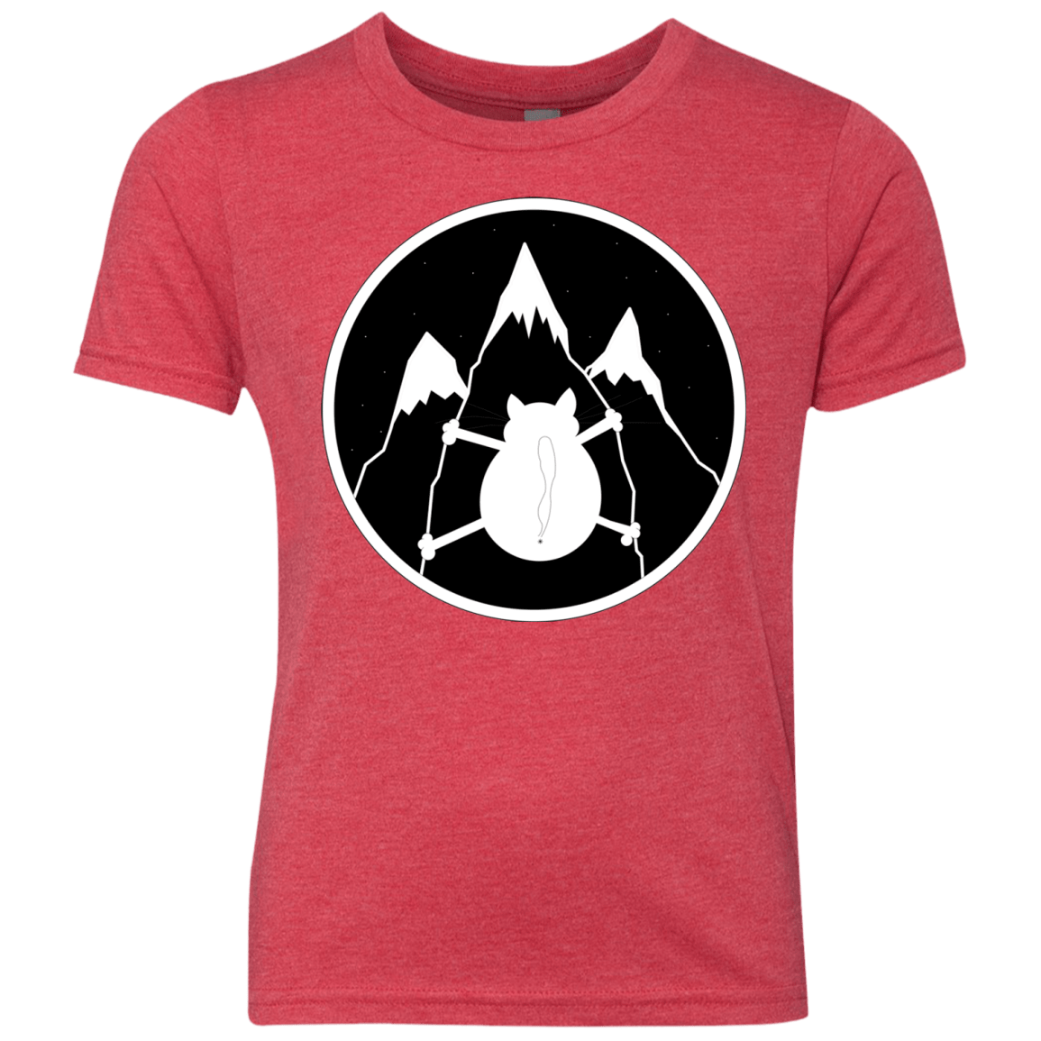 Spider Cat Youth Triblend T-Shirt