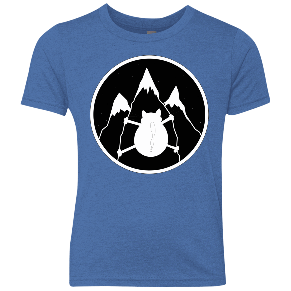 Spider Cat Youth Triblend T-Shirt