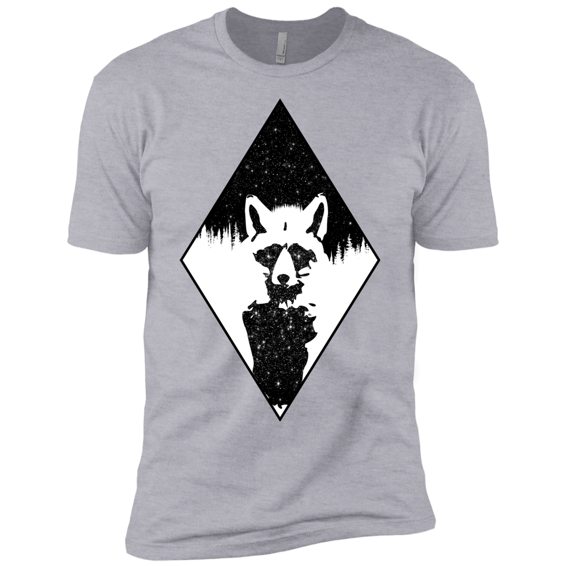 Starry Raccoon Boys Premium T-Shirt