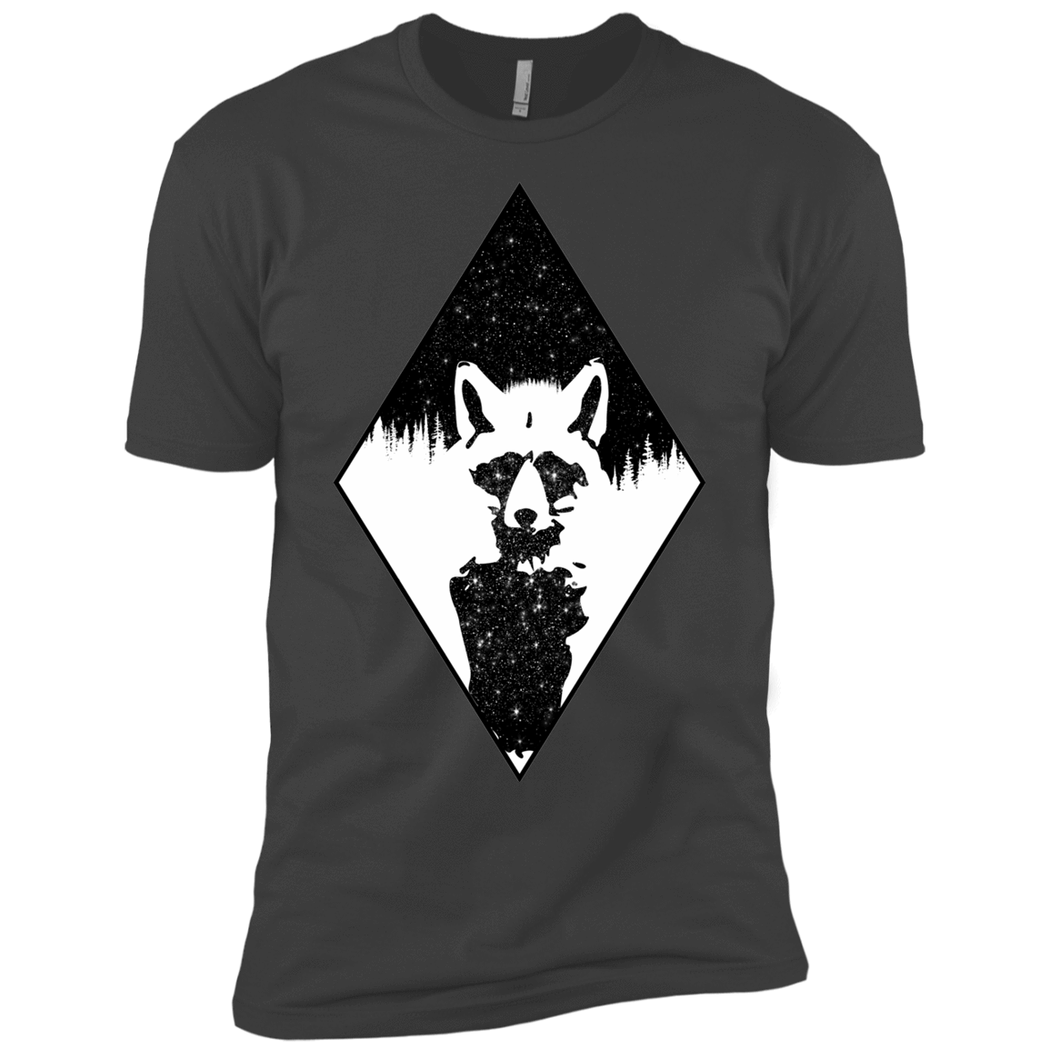 Starry Raccoon Boys Premium T-Shirt