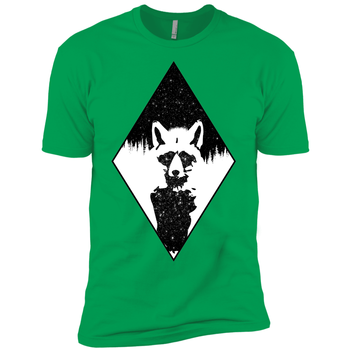 Starry Raccoon Boys Premium T-Shirt