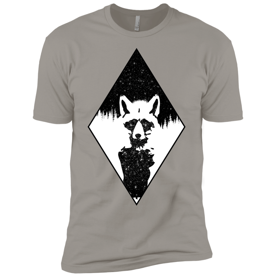 Starry Raccoon Boys Premium T-Shirt