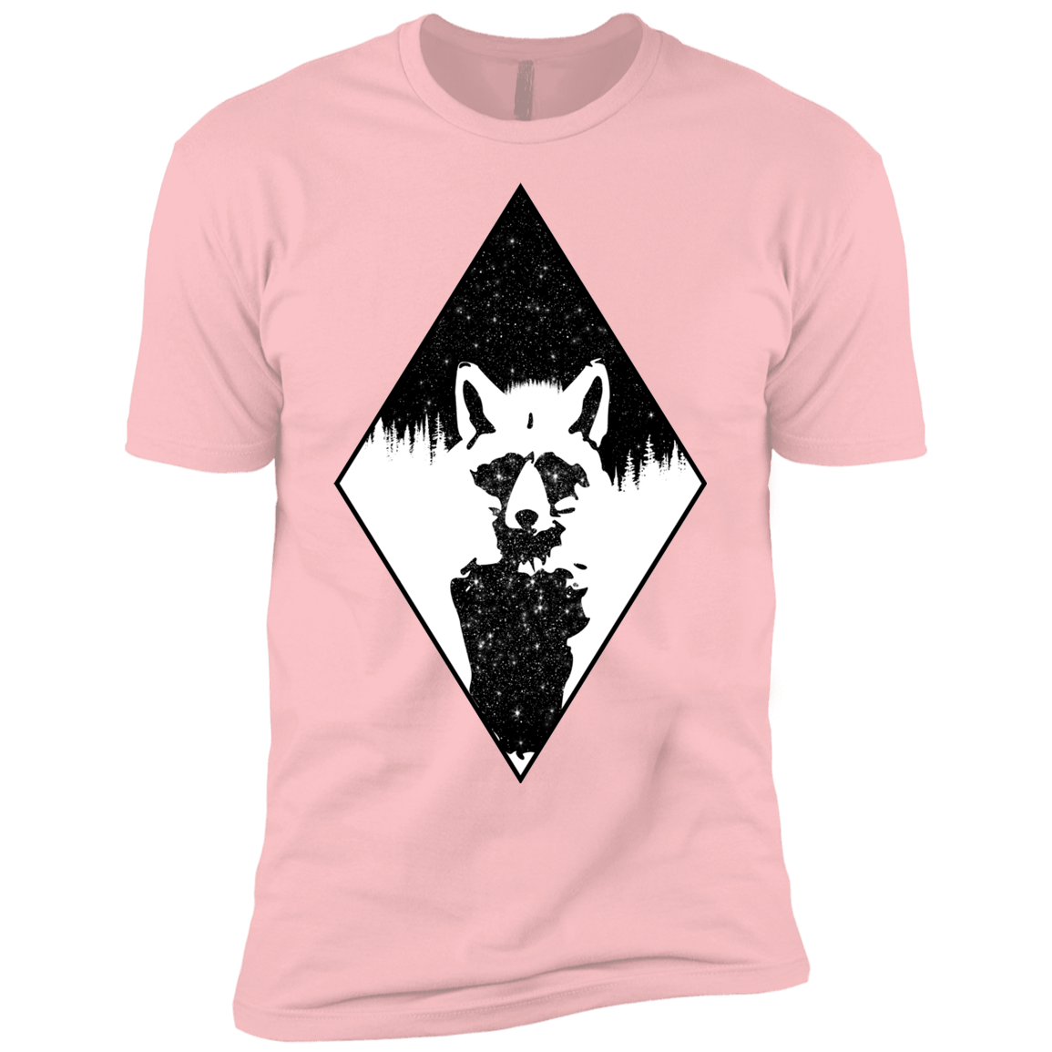 Starry Raccoon Boys Premium T-Shirt