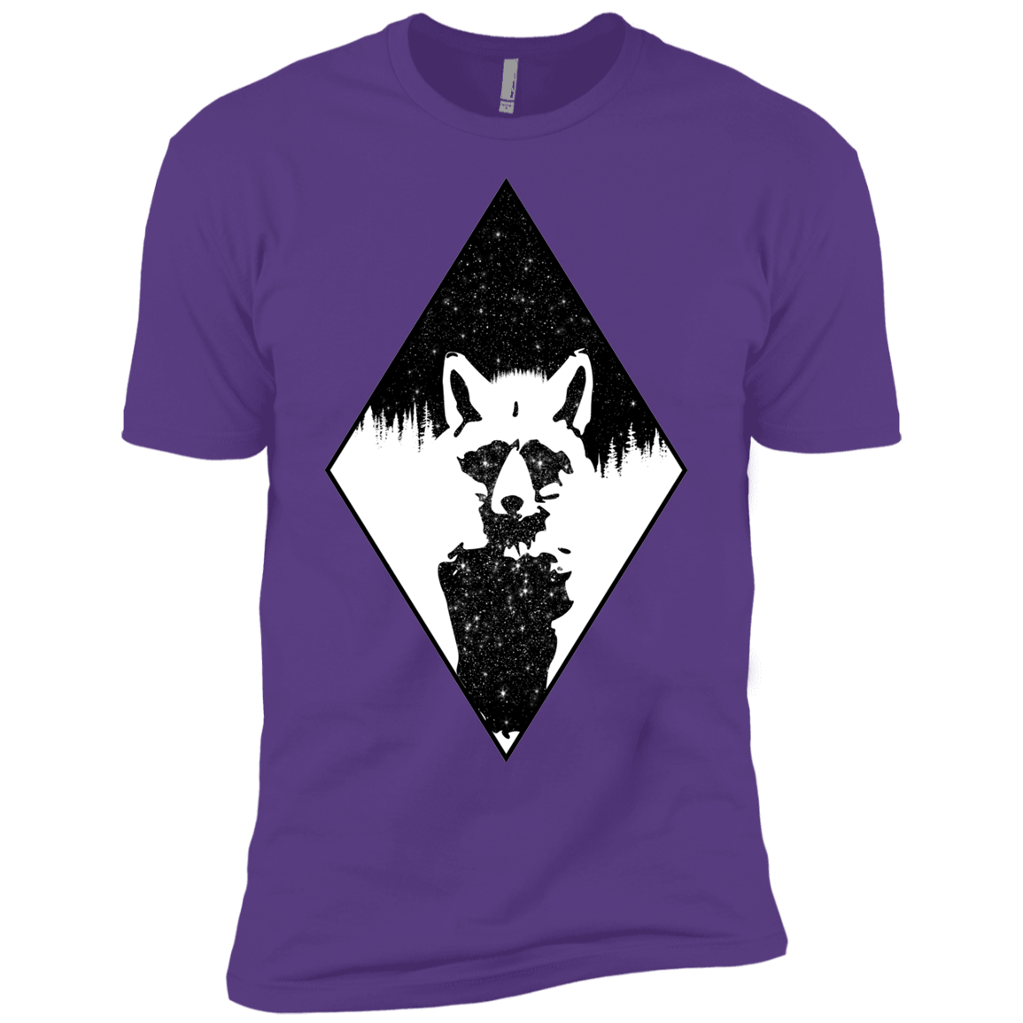 Starry Raccoon Boys Premium T-Shirt