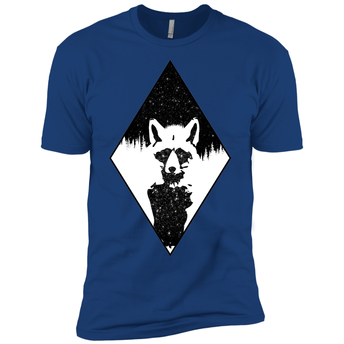Starry Raccoon Boys Premium T-Shirt