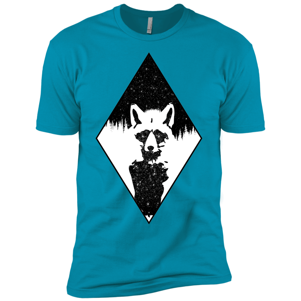 Starry Raccoon Boys Premium T-Shirt