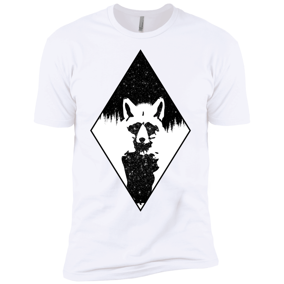 Starry Raccoon Boys Premium T-Shirt