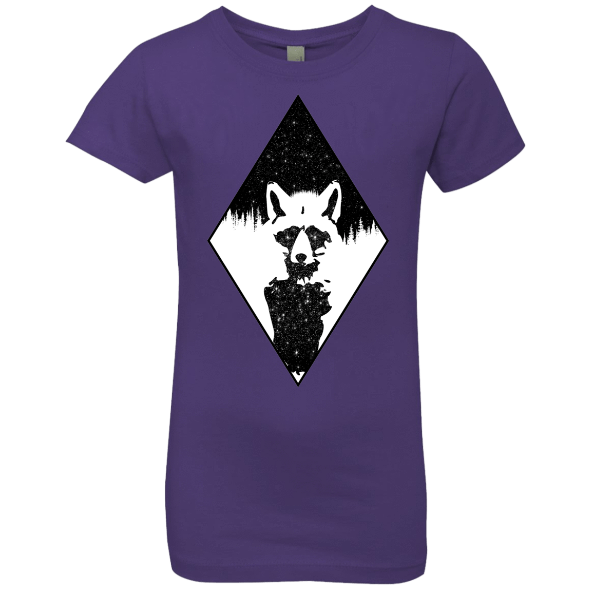 T-Shirts Purple Rush / YXS Starry Raccoon Girls Premium T-Shirt