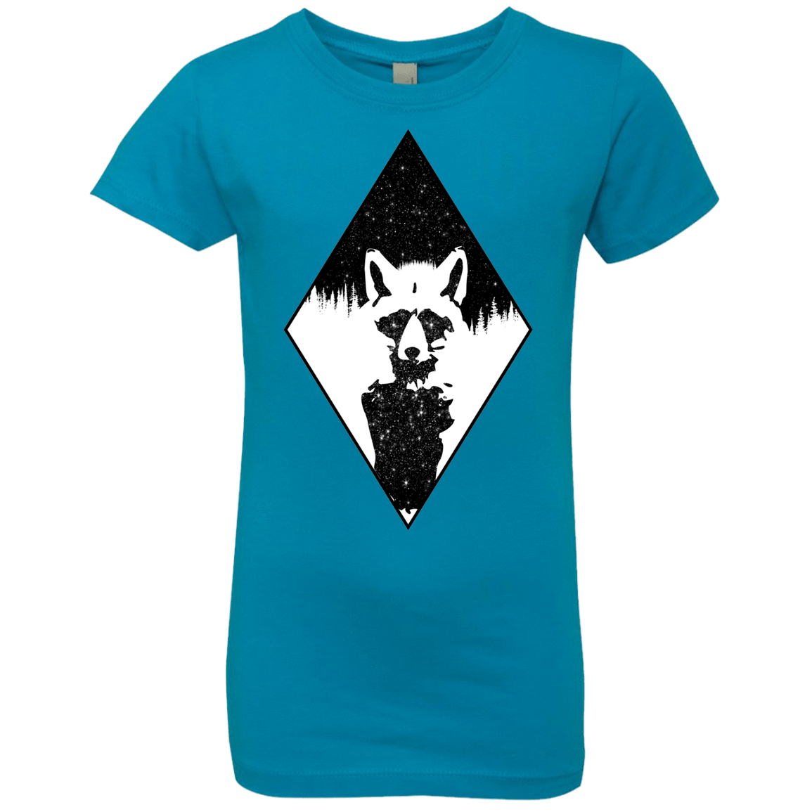 T-Shirts Turquoise / YXS Starry Raccoon Girls Premium T-Shirt