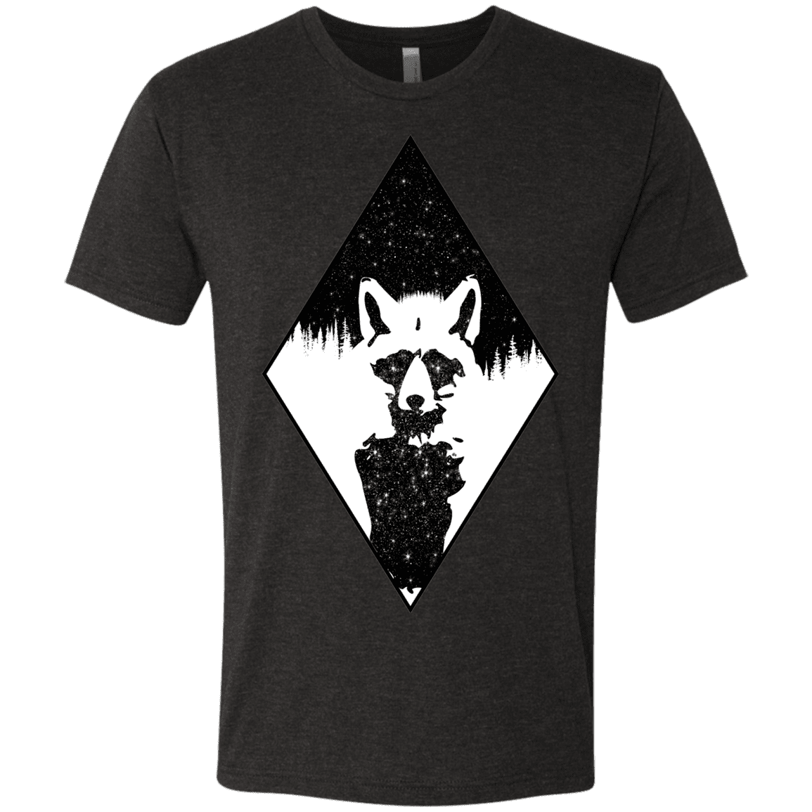 T-Shirts Vintage Black / S Starry Raccoon Men's Triblend T-Shirt