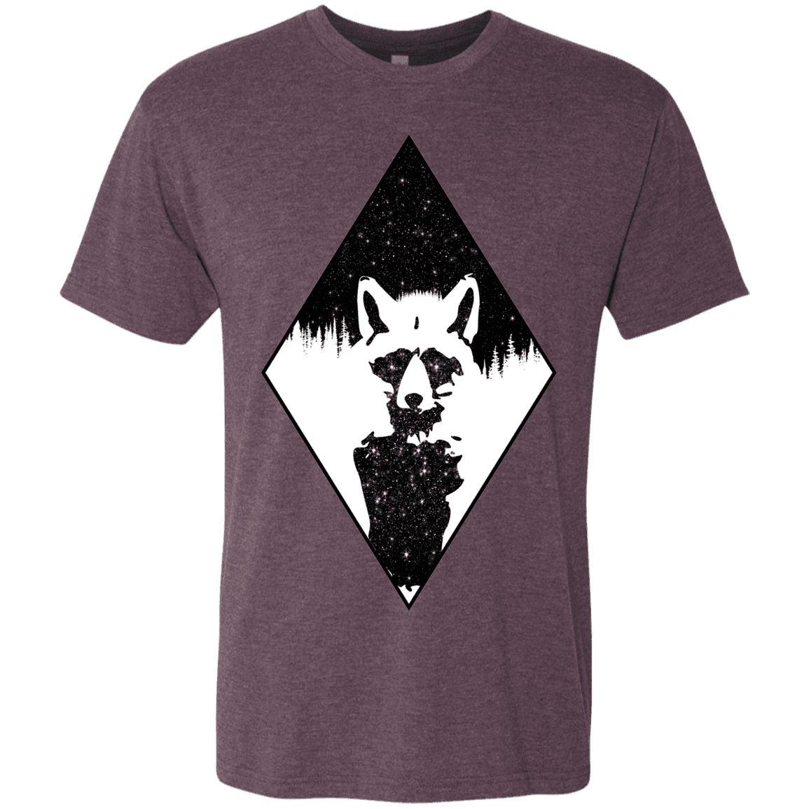 T-Shirts Vintage Purple / S Starry Raccoon Men's Triblend T-Shirt