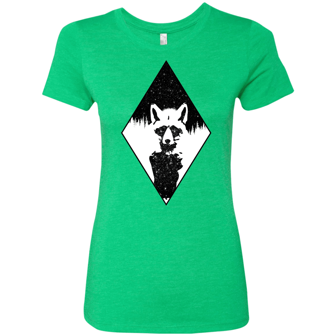 T-Shirts Envy / S Starry Raccoon Women's Triblend T-Shirt