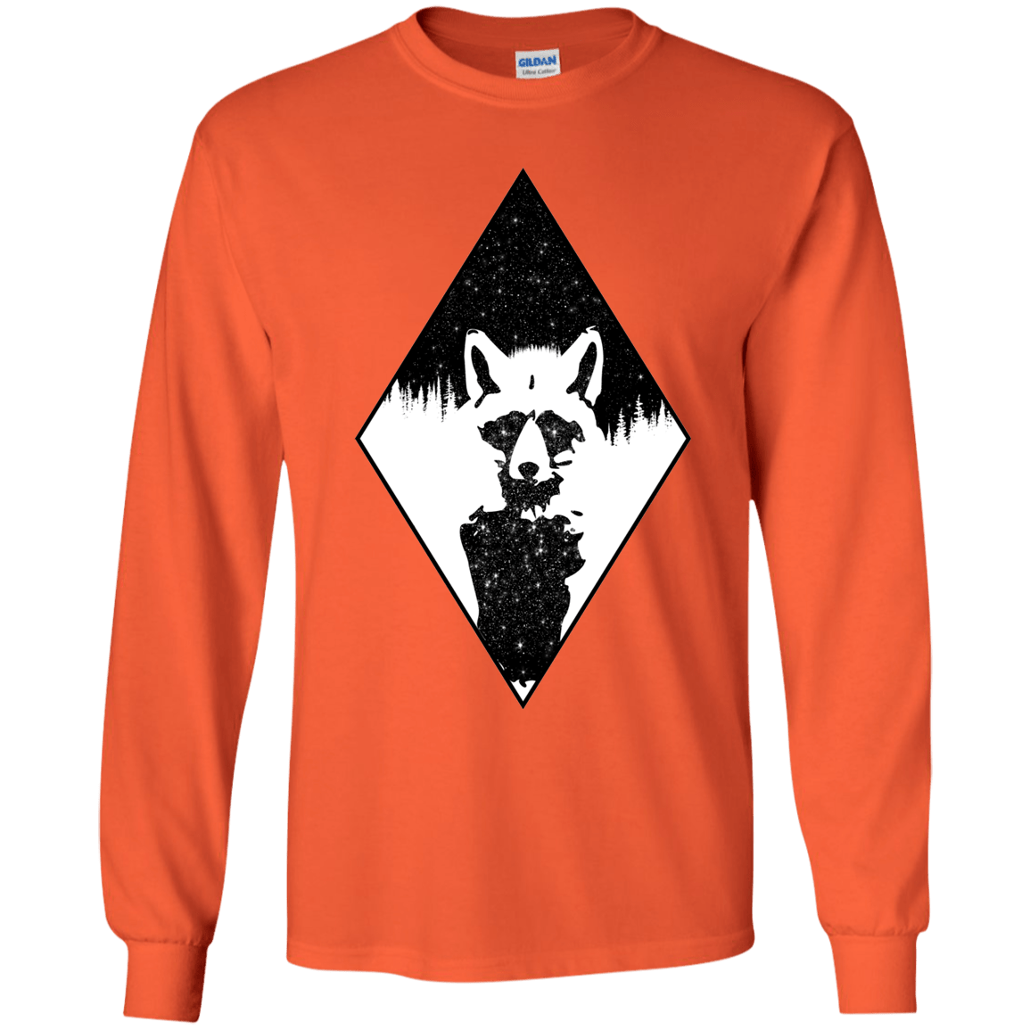 Starry Raccoon Youth Long Sleeve T-Shirt