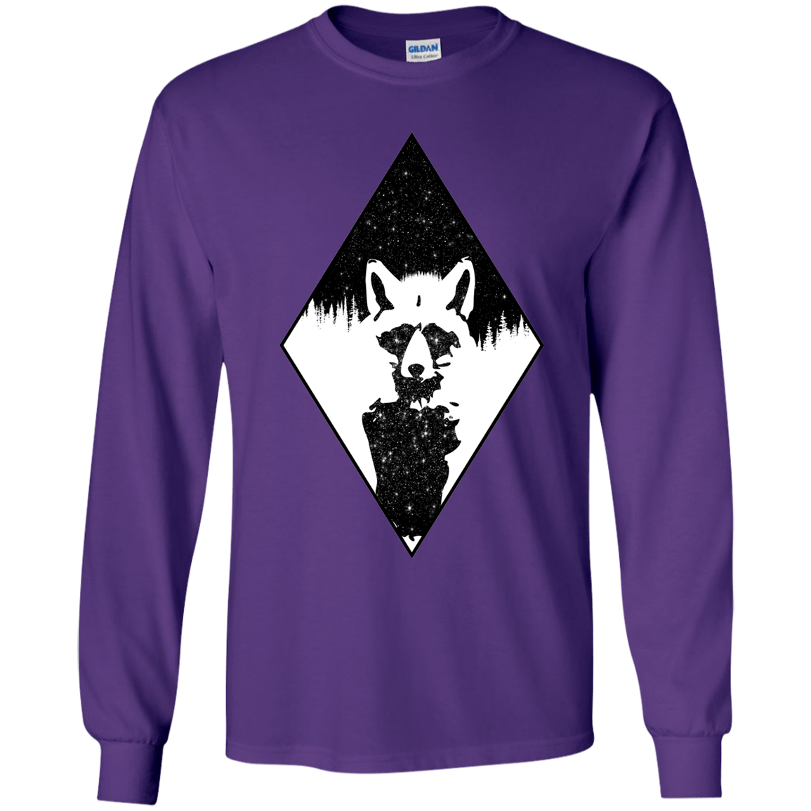 Starry Raccoon Youth Long Sleeve T-Shirt