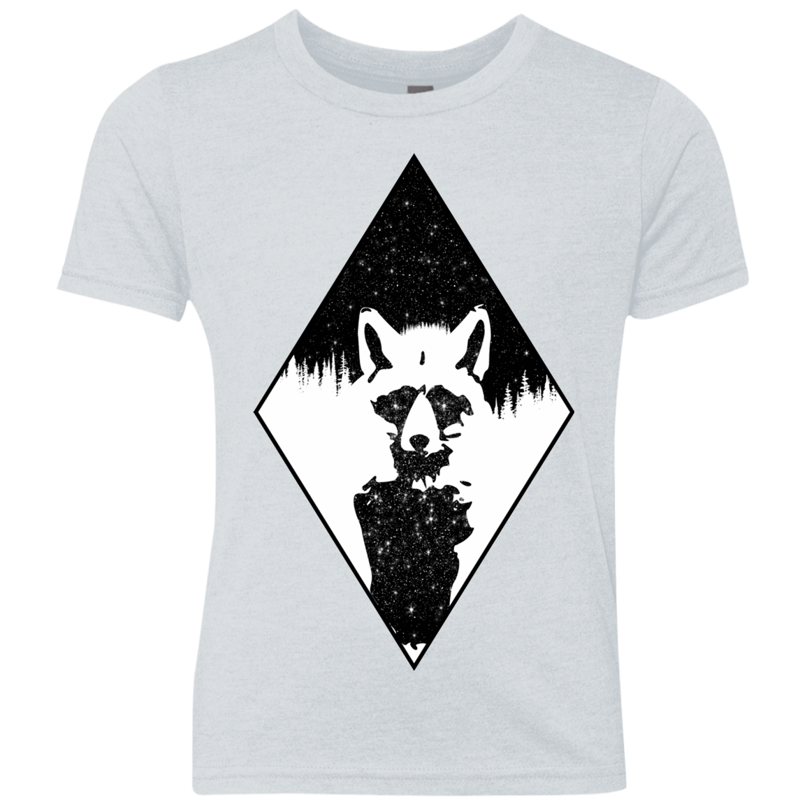 Starry Raccoon Youth Triblend T-Shirt