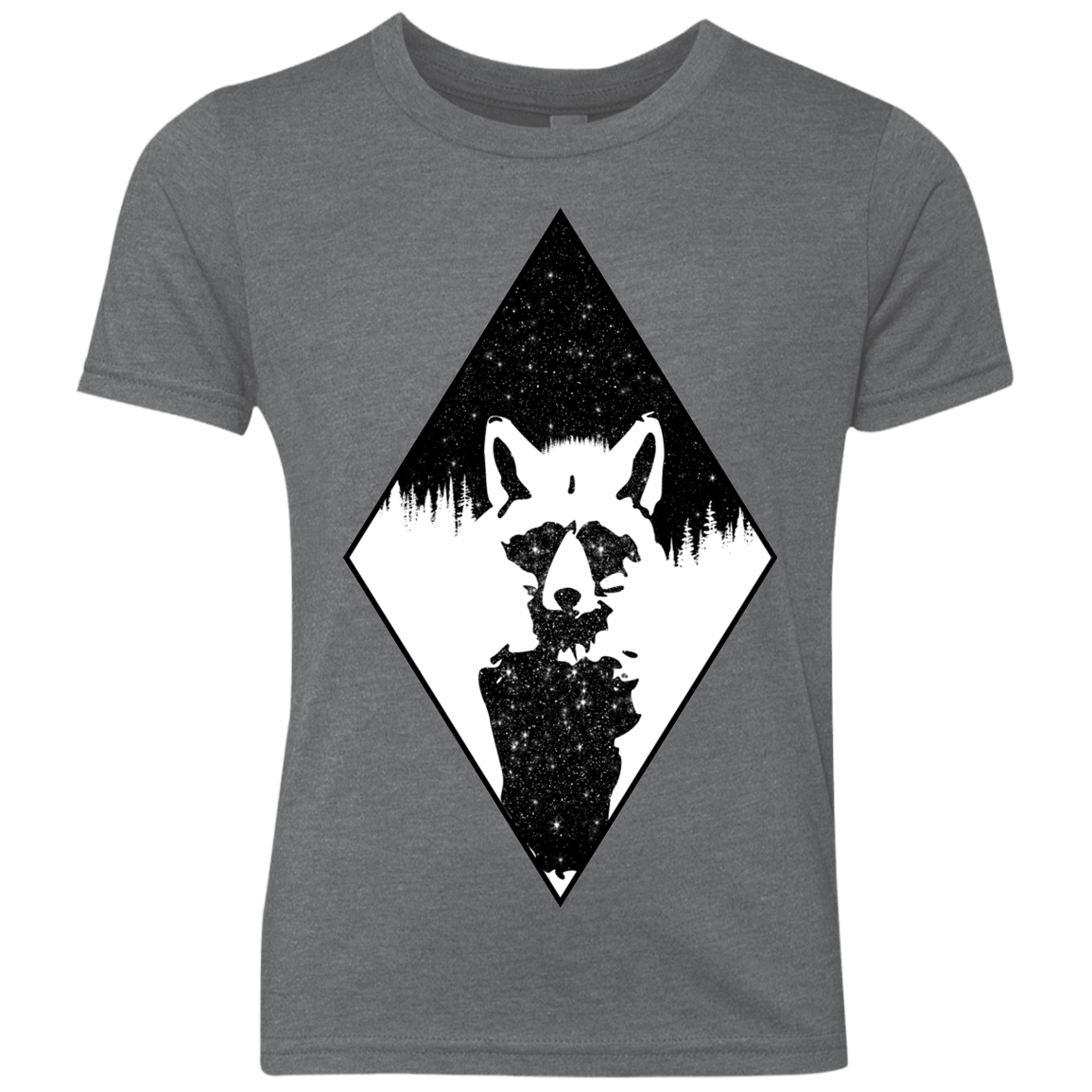 Starry Raccoon Youth Triblend T-Shirt