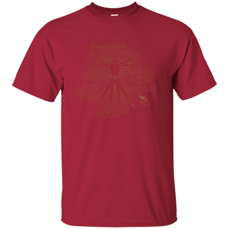 T-Shirts Cardinal / S Sun Vitruvian T-Shirt