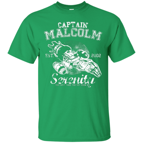 T-Shirts Irish Green / Small Take to the Sky T-Shirt