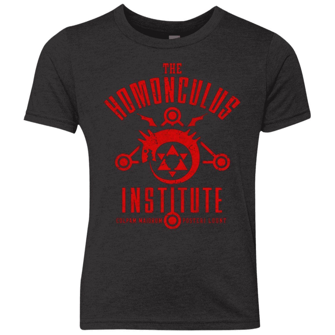 T-Shirts Vintage Black / YXS The Sins of the Father Youth Triblend T-Shirt