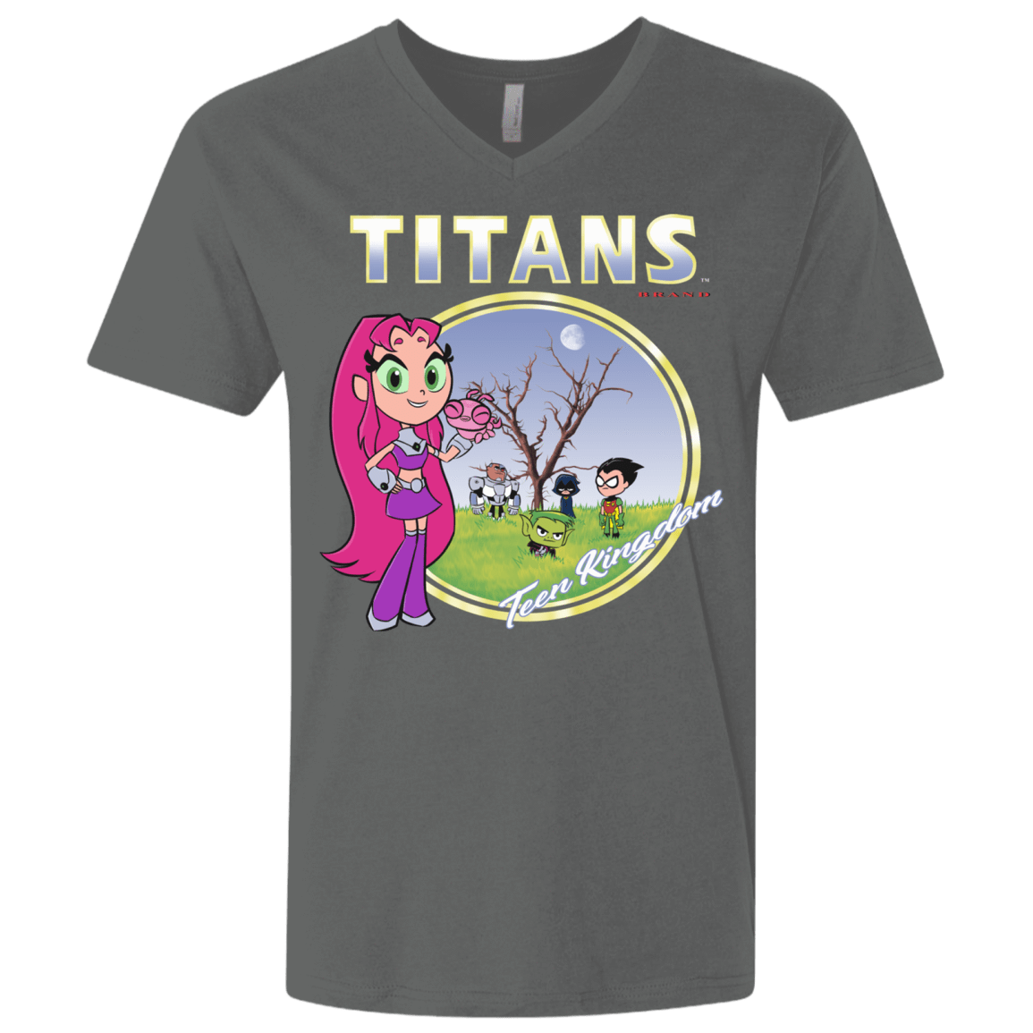 T-Shirts Heavy Metal / X-Small Titans Men's Premium V-Neck