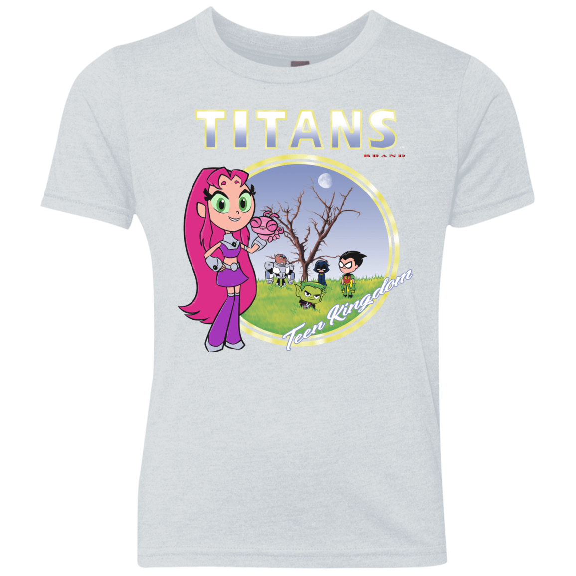 Titans Youth Triblend T-Shirt