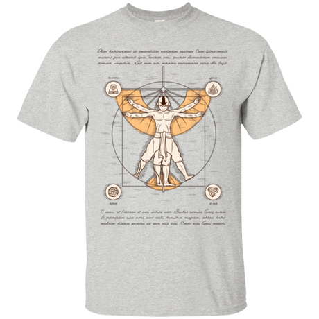 T-Shirts Ash / Small Vitruvian Aang T-Shirt