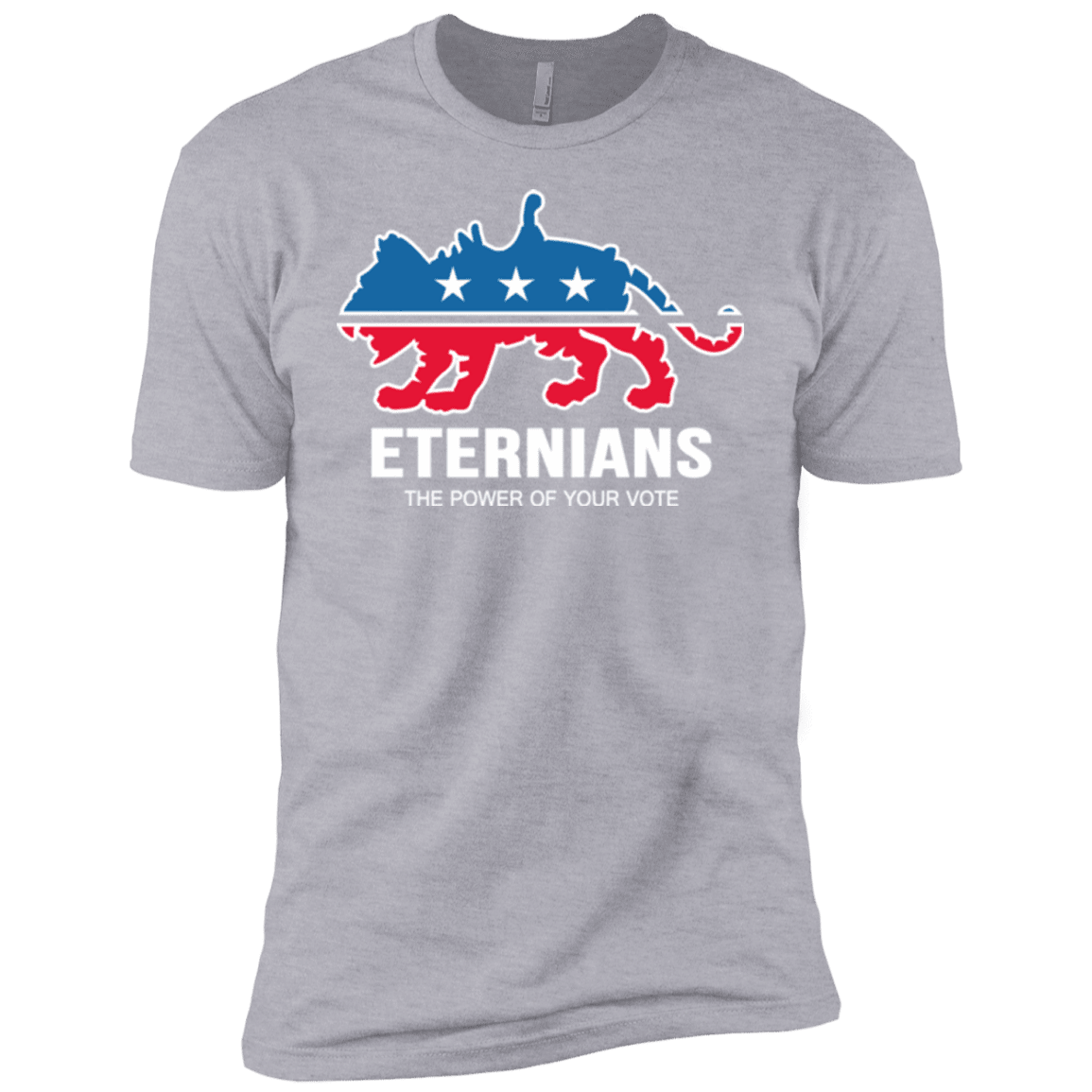 T-Shirts Heather Grey / YXS Vote Eternians Boys Premium T-Shirt