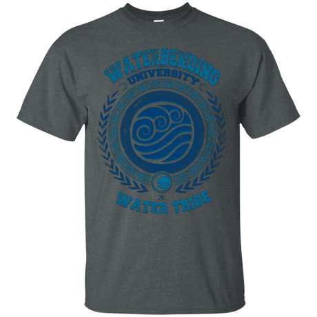 T-Shirts Dark Heather / Small Waterbending University T-Shirt