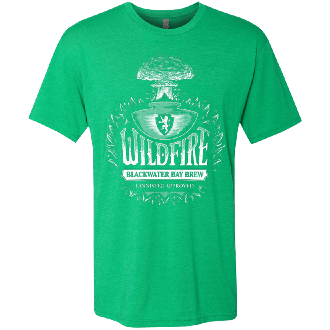 T-Shirts Envy / Small Wildfire Men's Triblend T-Shirt