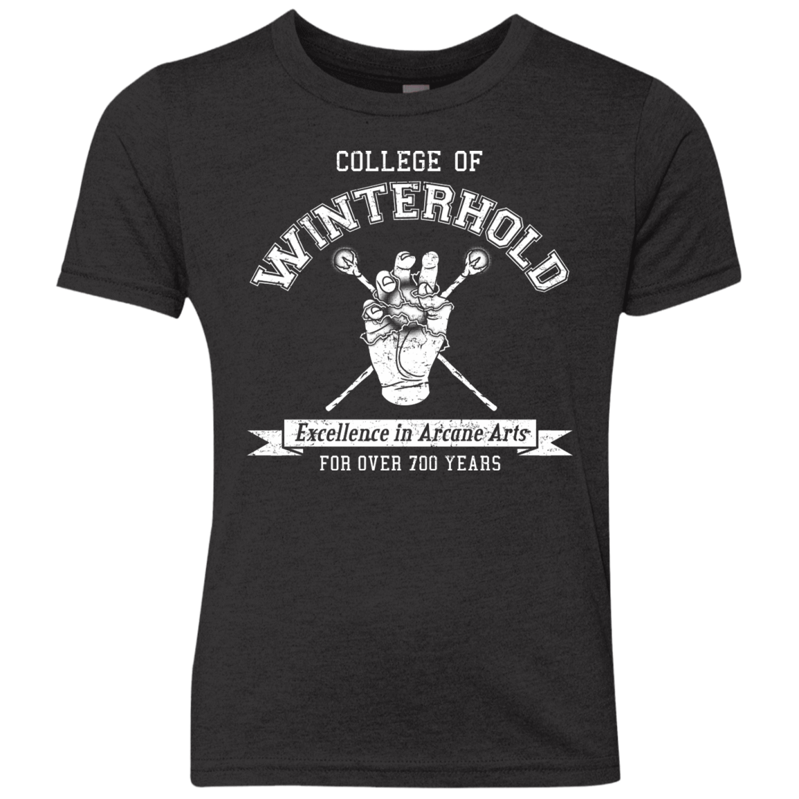 Youth_Triblend T-Shirts Vintage Black / YXS College of Winterhold Youth Triblend T-Shirt
