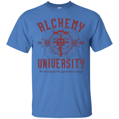 Alchemy University tee