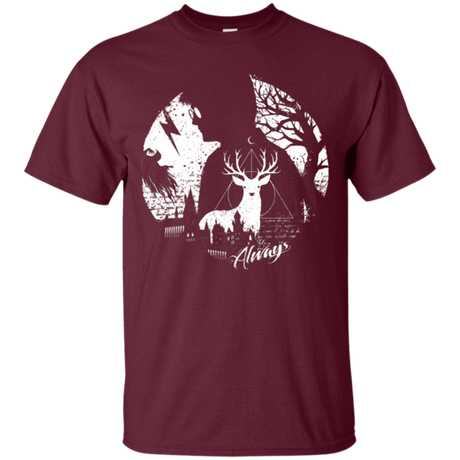 hogwarts harry potter